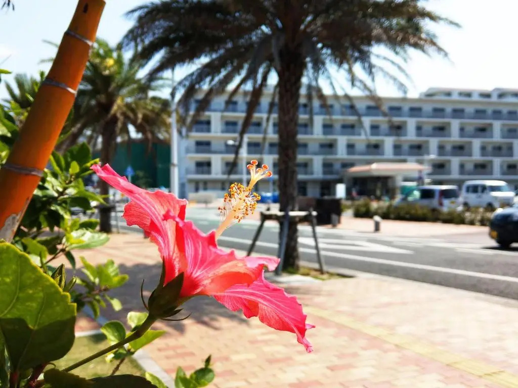 Lagent Hotel Okinawa Chatan Hotel and Hostel
