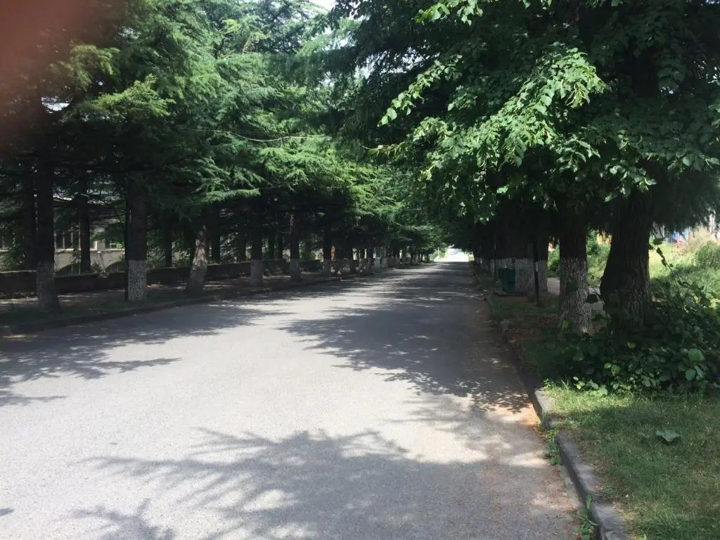 DILIJAN Apartment