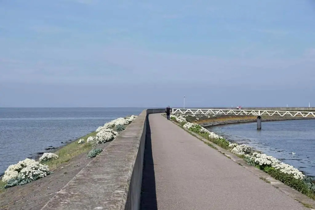 Cosy Harlingen I