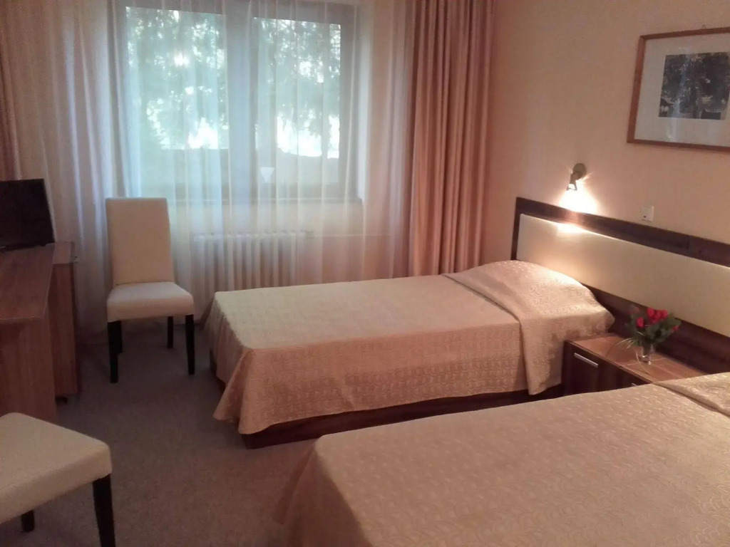 Hotel Bor