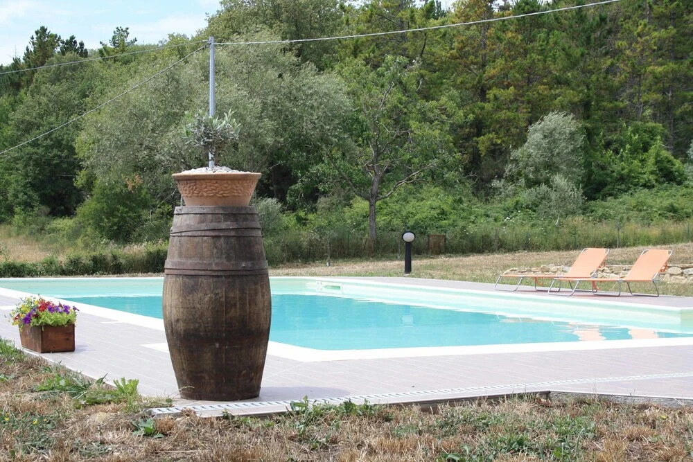 Piccolo Ulivo Ranch