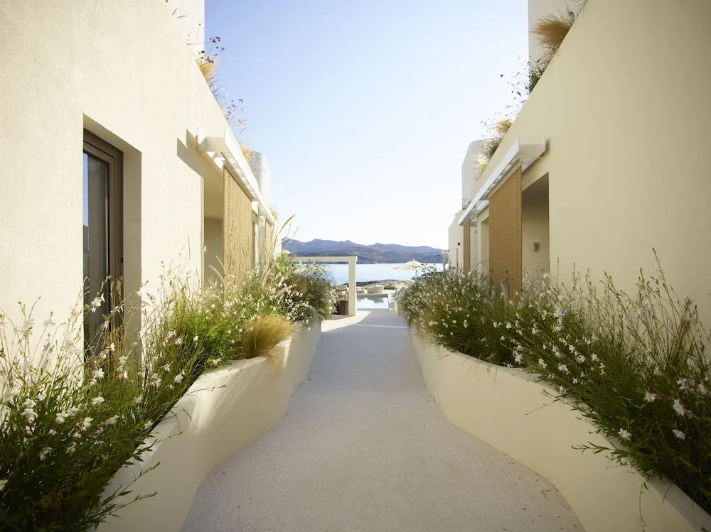 White Pebble Suites