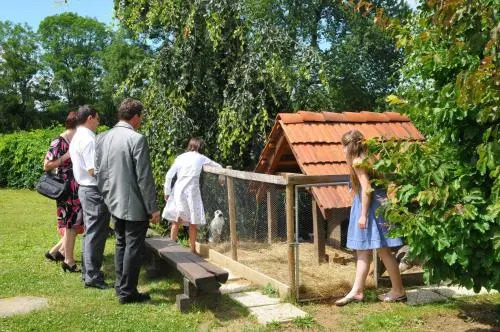 Gostišče - Guest house STARI HRAST