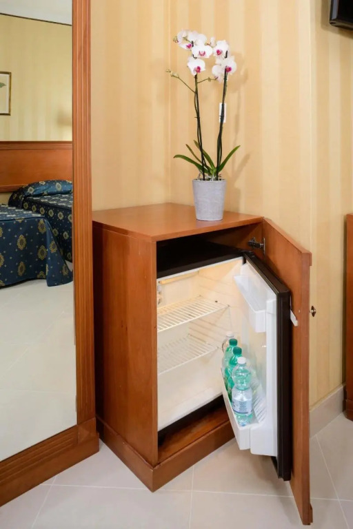 Hotel Hermitage