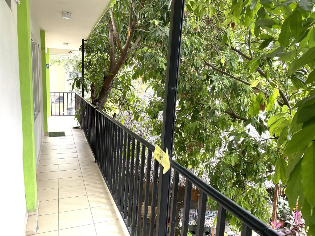 Hostal Casa Huasteca