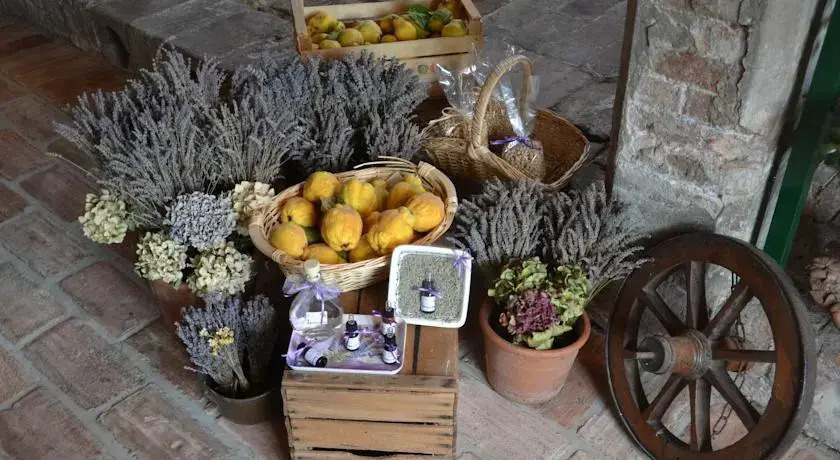 B&B I Cipressi
