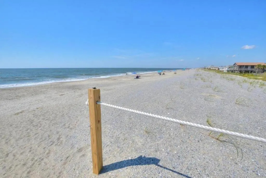 Bloom on the Beach-SSV 3202