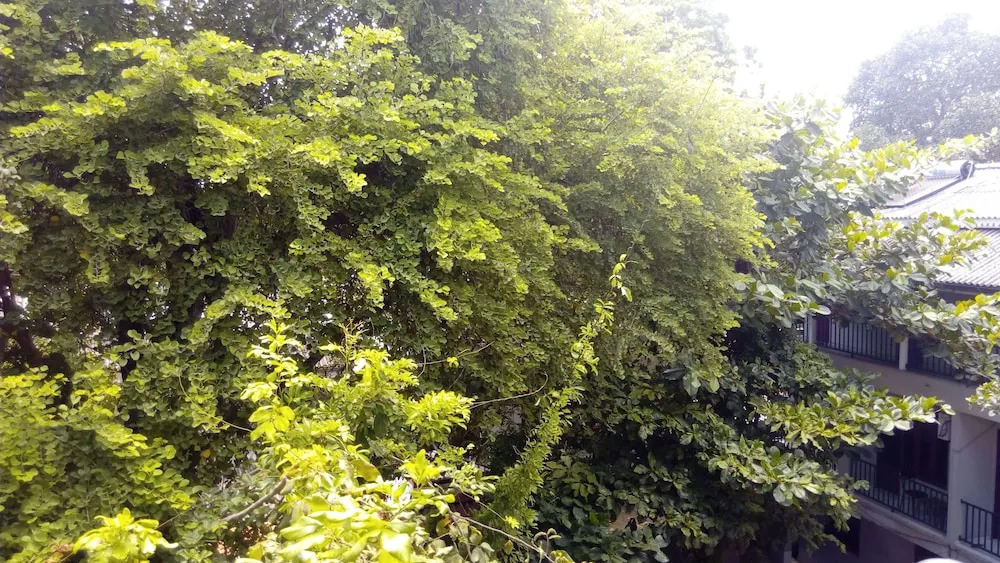 Sarathchandra Tourist Guest House