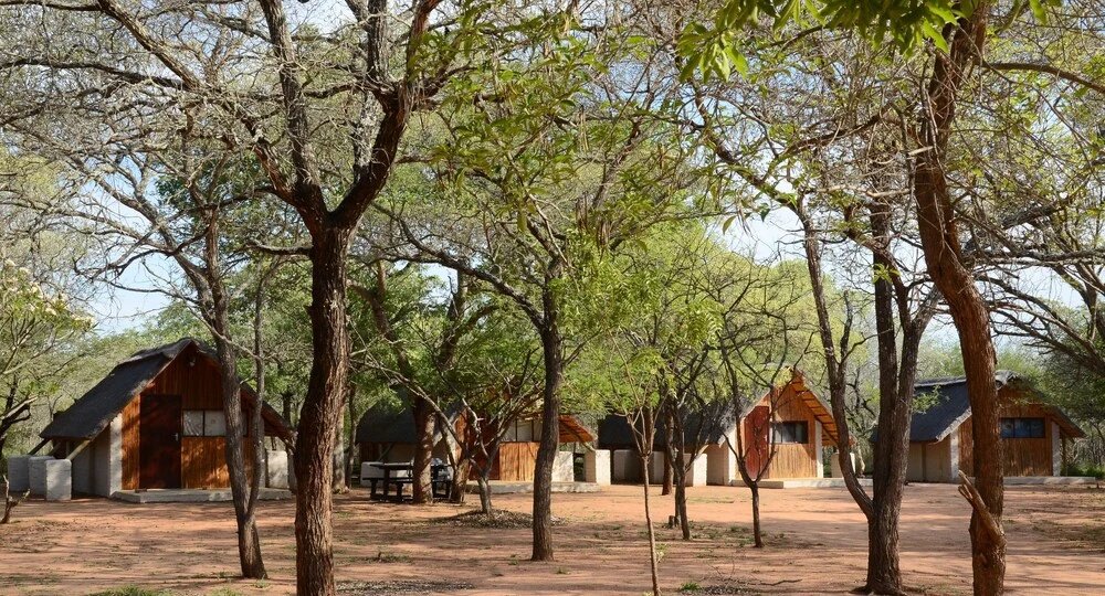 Wild Dogs Safari Lodge