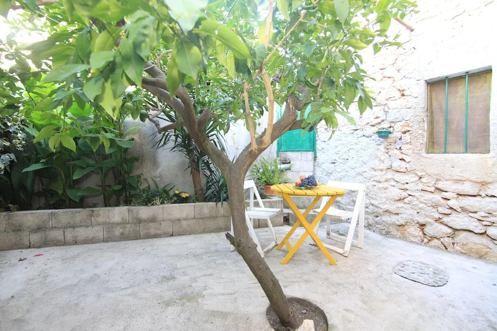 Apartment Oaza