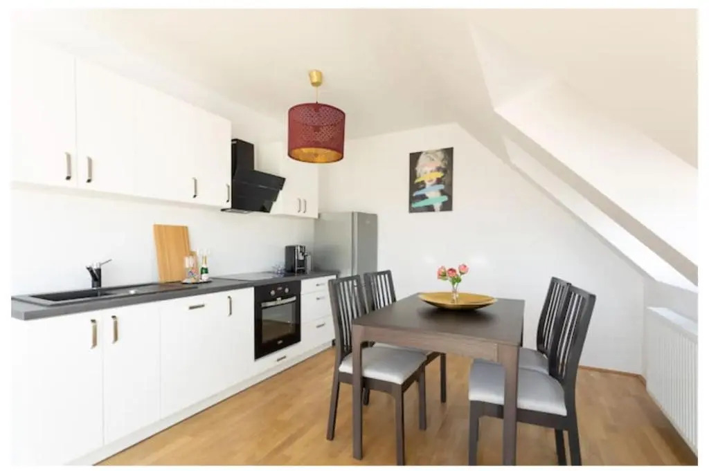 N45 · Penthouse near Schoenbrunn. Amazing Terrasse! N45