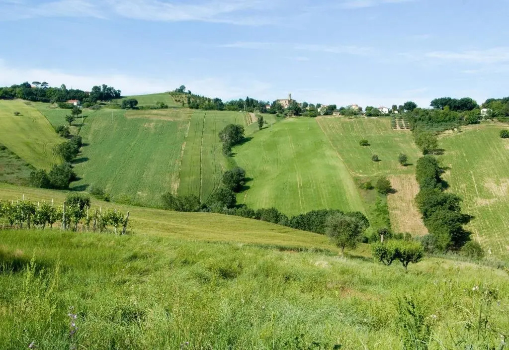 Country House La Madonnina