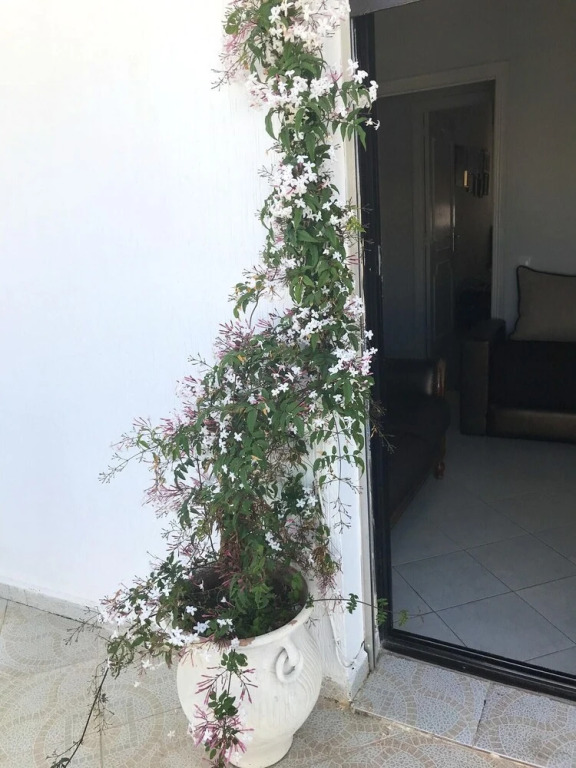 Apartment with 3 Bedrooms in Tanger, with Wonderful City View, Terrace And Wifi - 1 Km From the Beach