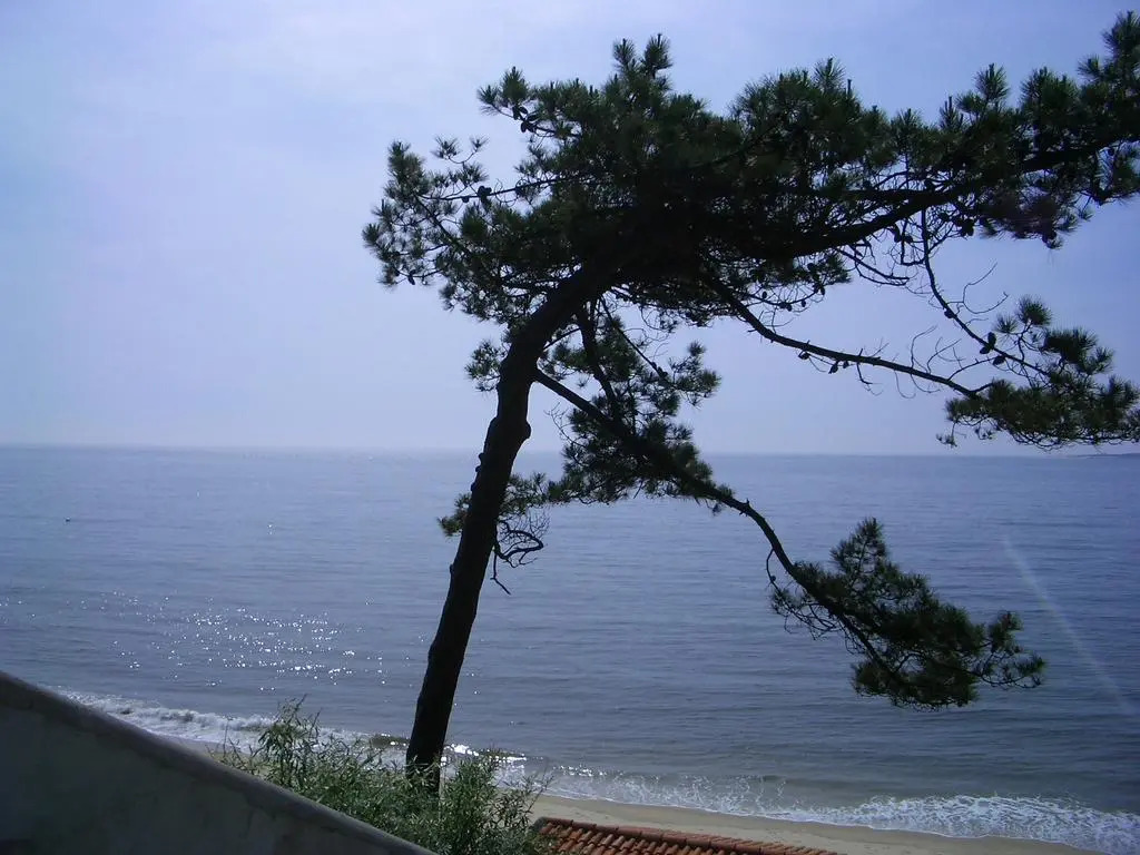 Une Villa au Pyla
