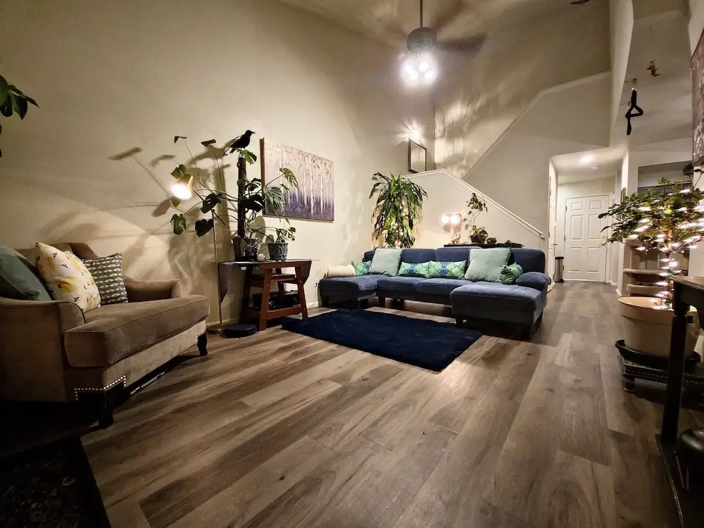 Casa de gato