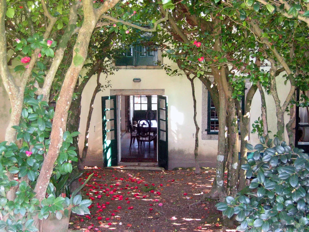Pazo Cibrán