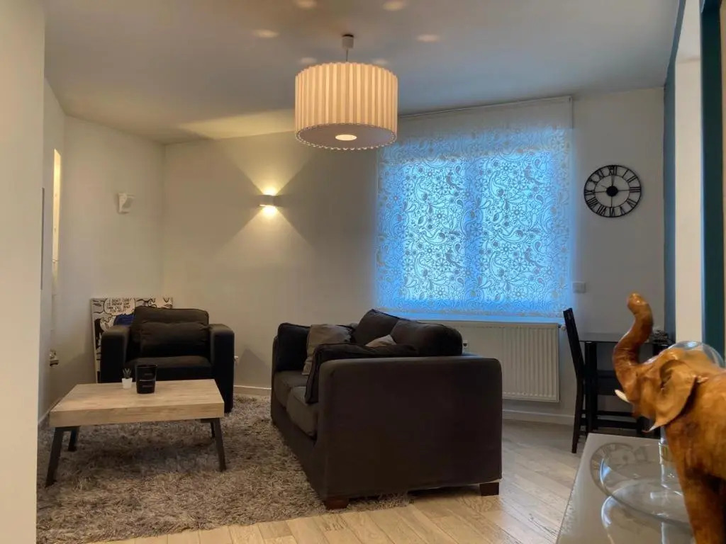 Appartement 2P Strasbourg centre - Homme de fer