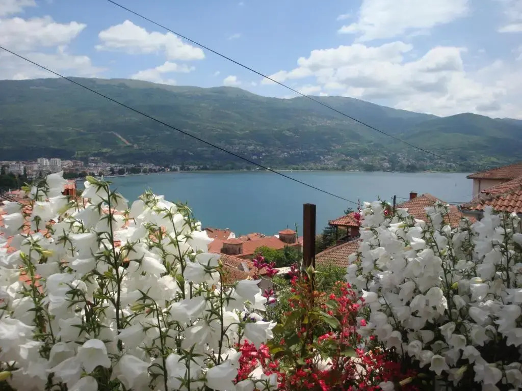 Apartments Villa Saray