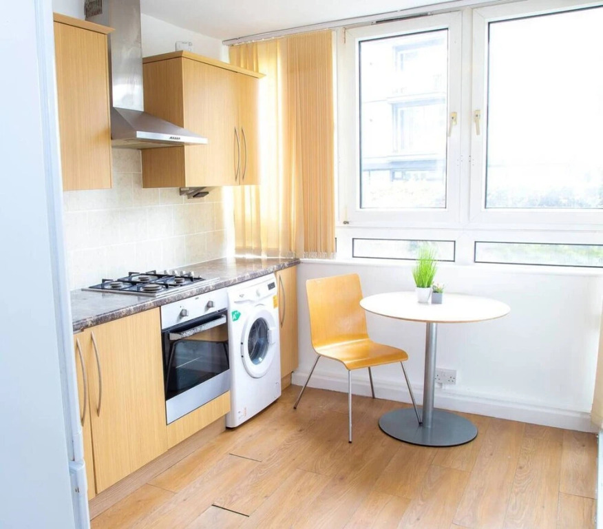 Large Shoreditch, Hoxton 3-bed Garden Flat
