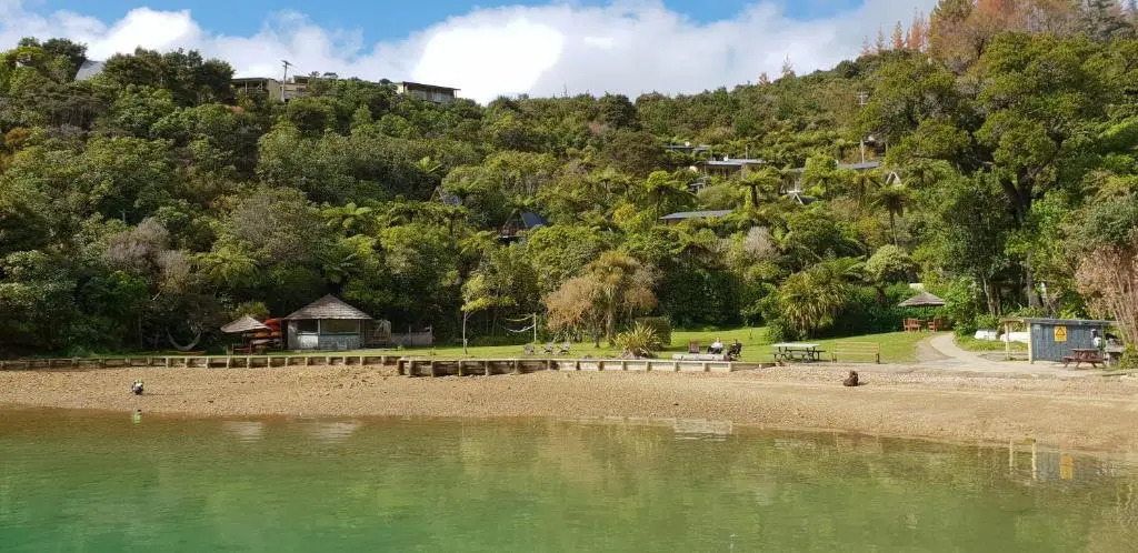 Punga Cove Resort