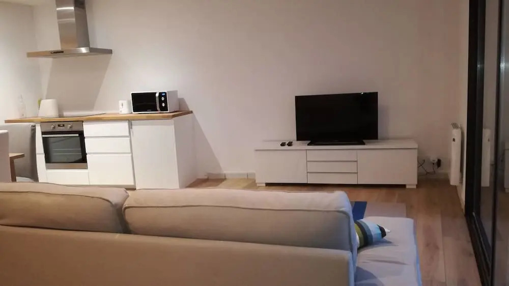 Appartement Plein Centre Denys Puech