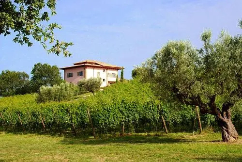 L'Orso e L'Ape B&B