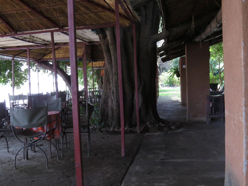 Croc Valley Camp