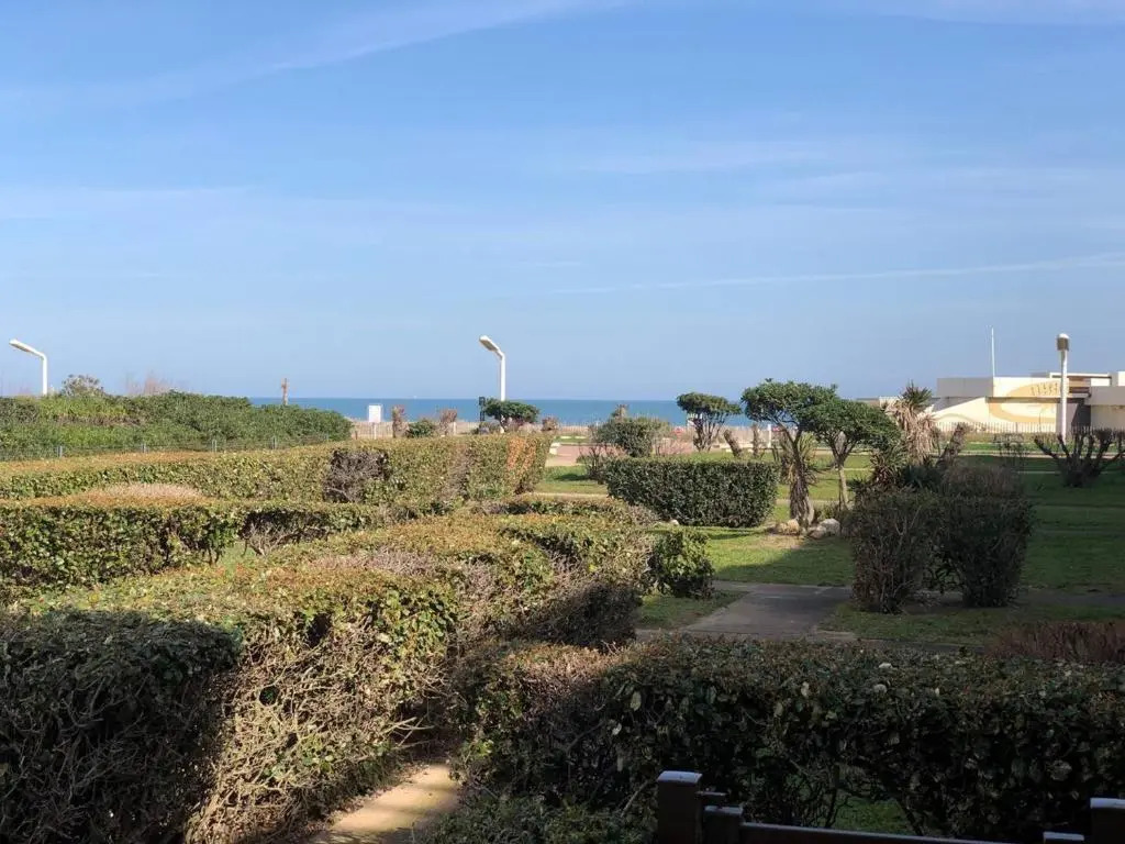 Appartement Le Barcarès, 2 pièces, 4 personnes - FR-1-81-529