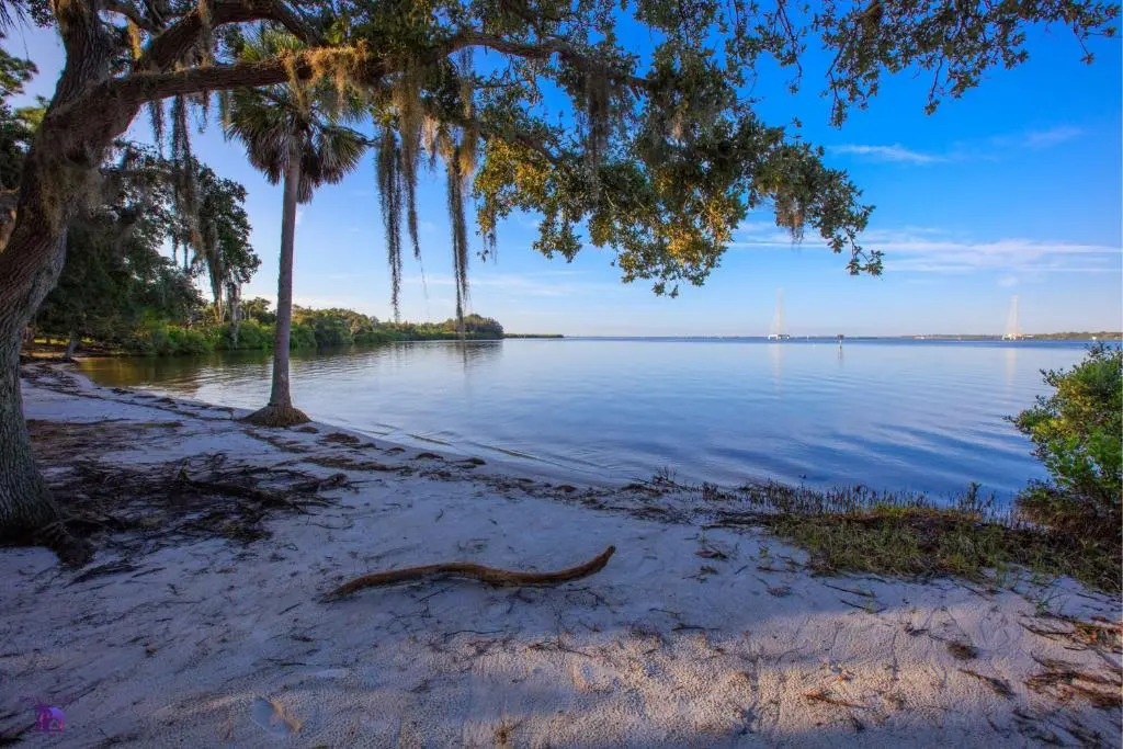 Holiday Inn Express Hotel & Suites Tampa-Oldsmar by IHG