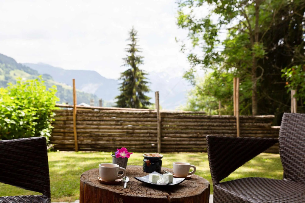 Hôtel La Ferme du Chozal, Chalet de tradition