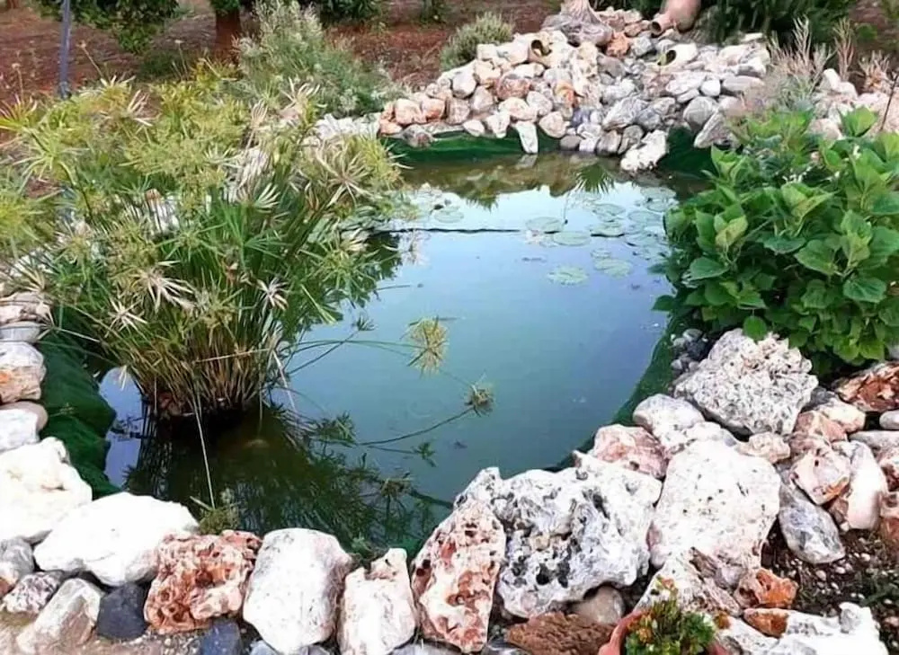 B&B Giardino Isabella