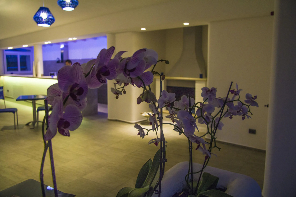 La Bella Trani - Suites and B&B