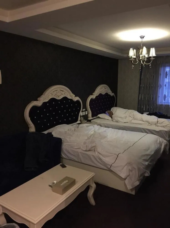 Tangfeng Art Hotel Shenyang North Railway Station