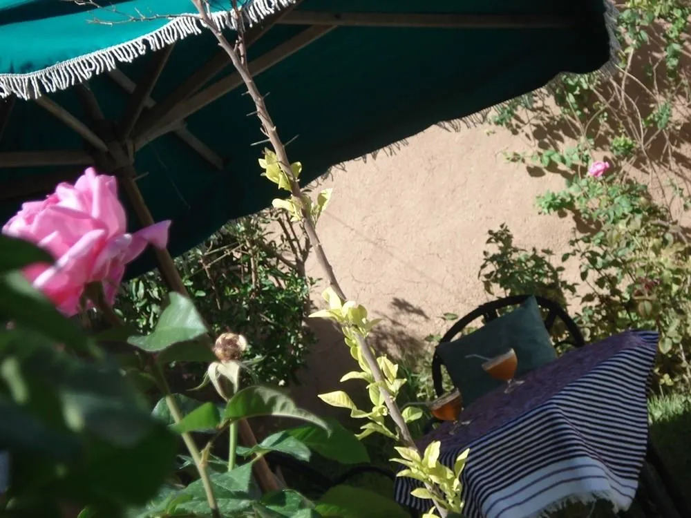 Riad Roses