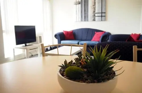 Budget Apartments