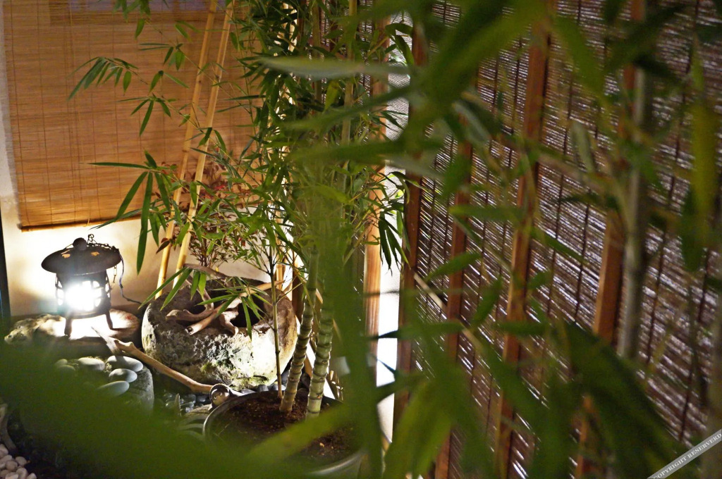 Kaoru's home in Tokyo-itabashi