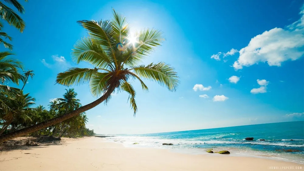 All Inclusive Bed & Beach & Fun Cancun