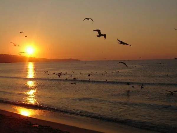 Sunrise Hotel