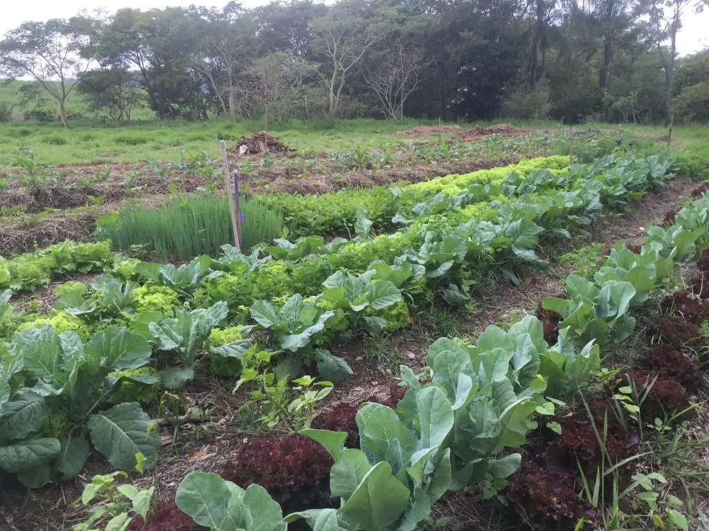 Hospedagem Fazenda Nova América