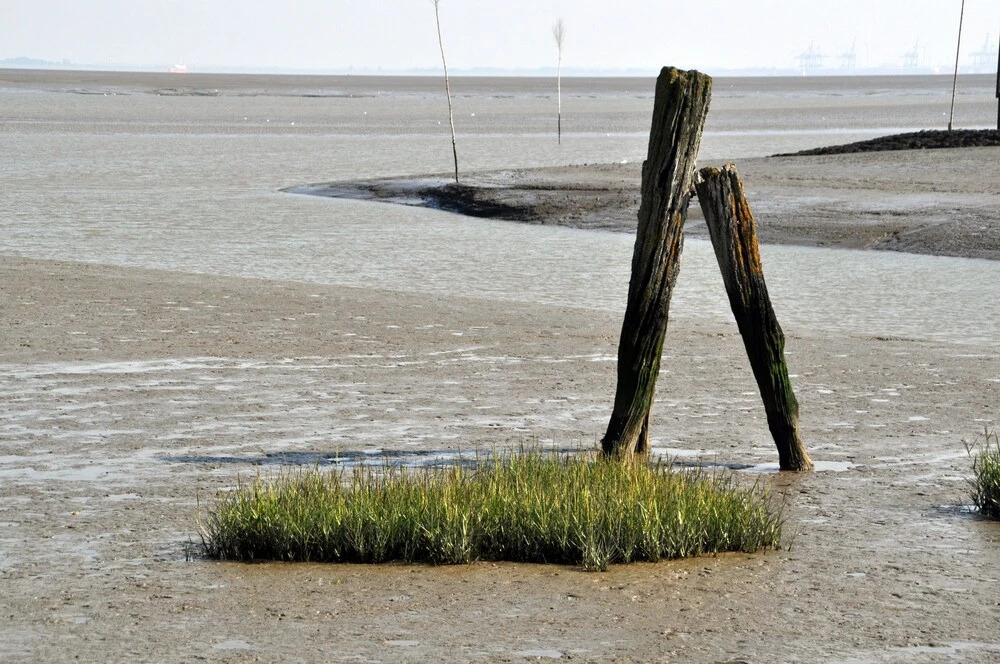 Strand Hotel Nordsee, Hotel Schnaugst