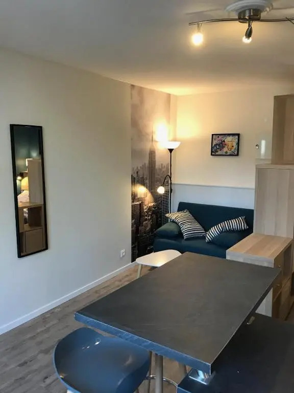 Studio cozy hypercentre