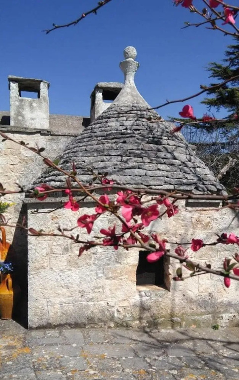 Residenza Fenicia