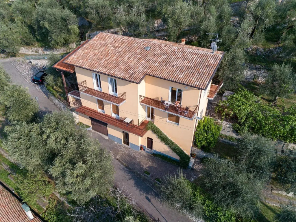 Villa Olivo