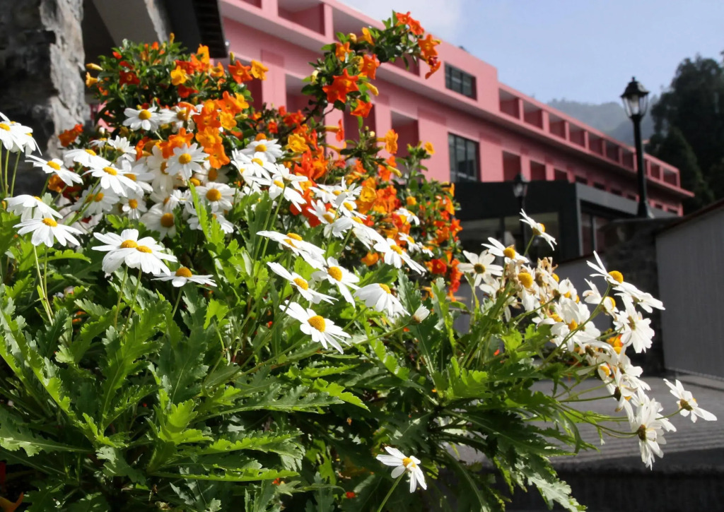 BIO Hotel - Hotel Quinta da Serra
