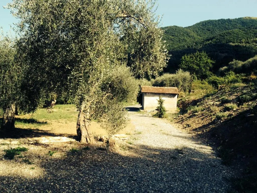 Casa vacanze gli ulivi