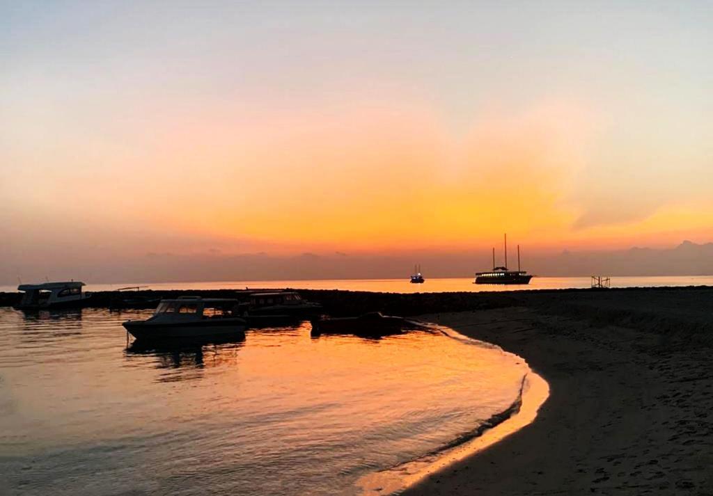 Adroit Beach Inn