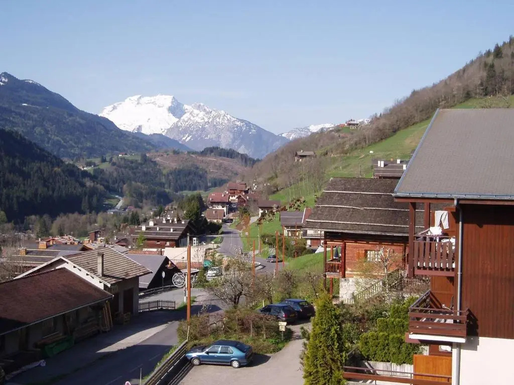 Studio Le Grand-Bornand, 1 pièce, 4 personnes - FR-1-458-100