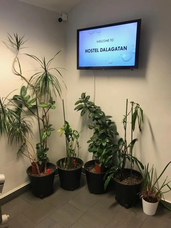 Hostel Dalagatan