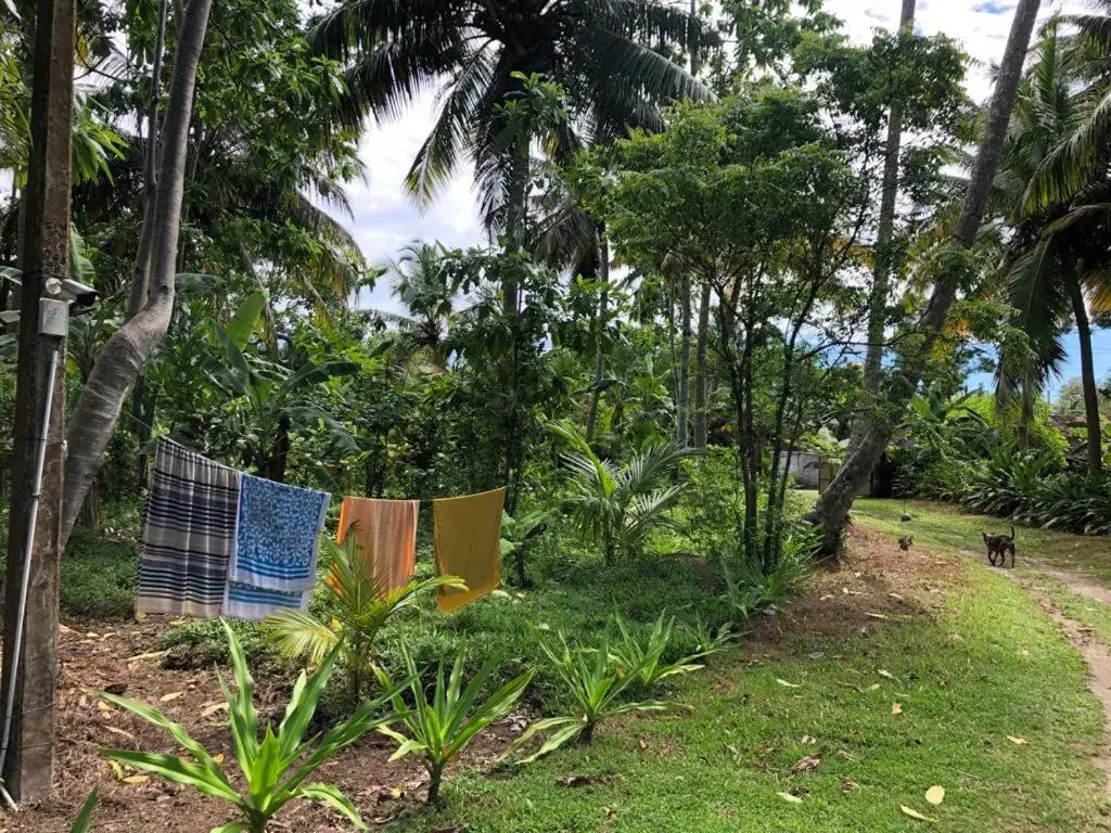 Siri medura surf yoga meditation guesthouse and hostel