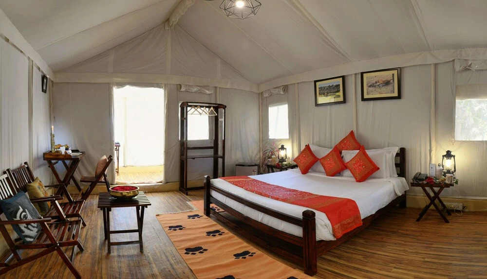 Abrar Palace & Jungle Camps